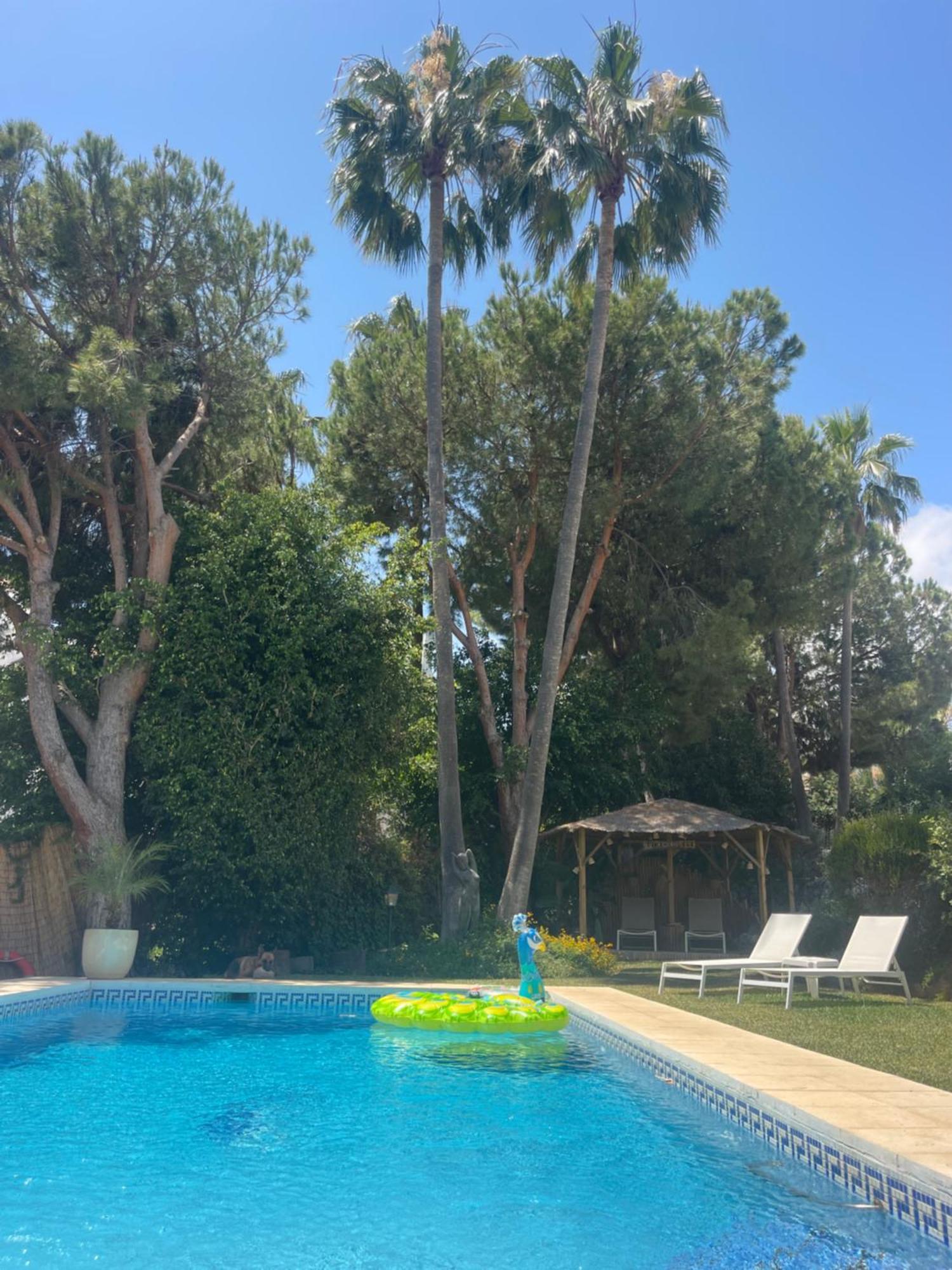 Bed and breakfast Casa Flora - Costa - Andalusië 3*